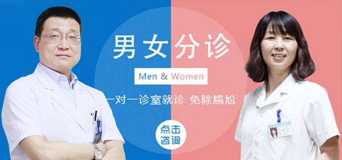 banner.jpg