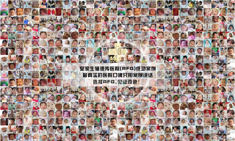 RFG案例合集图.png