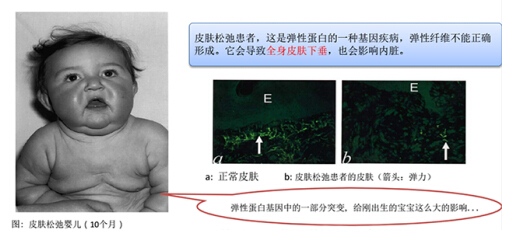 QQ截图20190610100915.jpg
